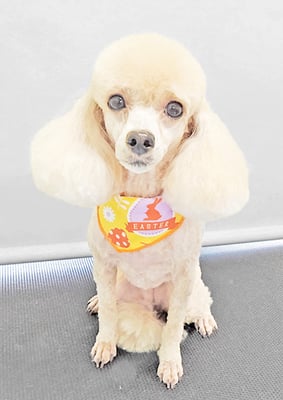 新留モコちゃん