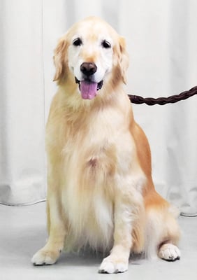 美代ジューンちゃん