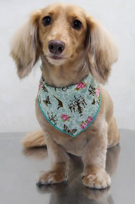 片山マルルちゃん