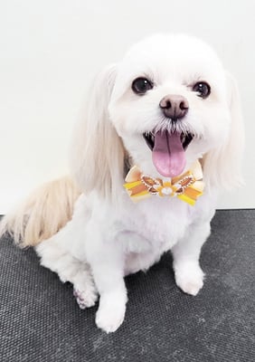 大脇ココアちゃん