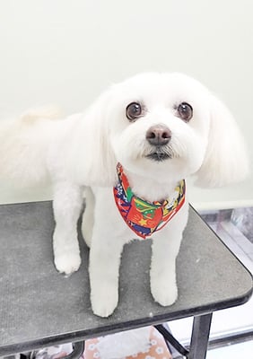 中山まるちゃん