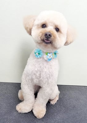 藤久保くうたちゃん