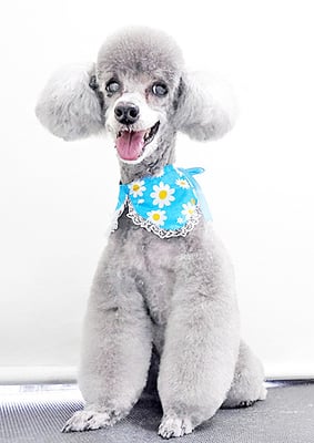 竹崎コナンちゃん