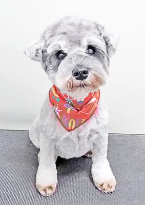 新田つむぎちゃん