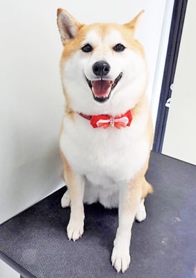 小村ゆずちゃん