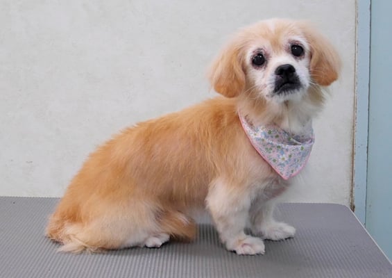 濵平メルちゃん