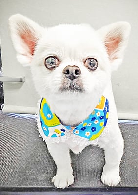 枦山れおちゃん