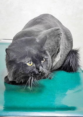 西野そらちゃん