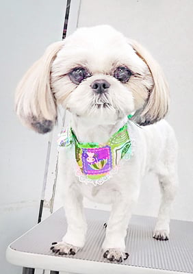 久永ナルちゃん