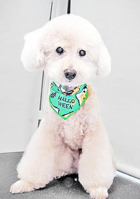 濱村小太郎ちゃん