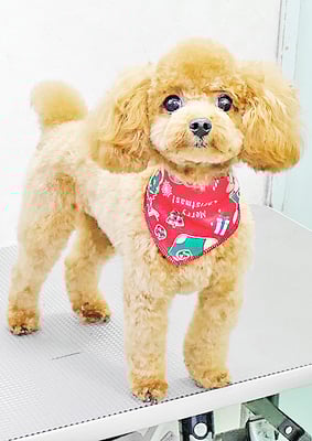 本山ミントちゃん