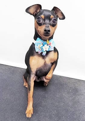 宮下ティノちゃん