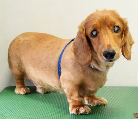 上野モンタちゃん