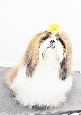 眞邉モモちゃん