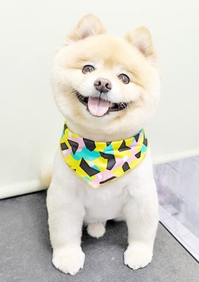 中間小次郎ちゃん