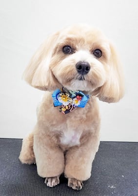 平松レオンちゃん