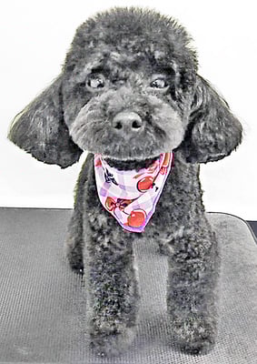 野口サニーちゃん