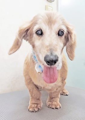 中山ジンちゃん