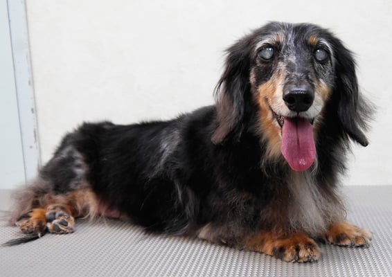 西山ユウちゃん