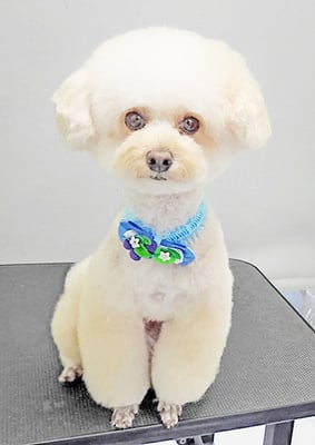 山村レオンちゃん