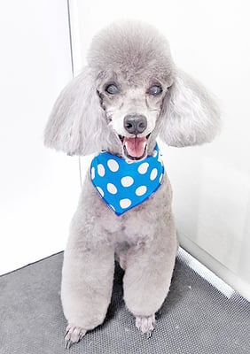 竹崎コナンちゃん