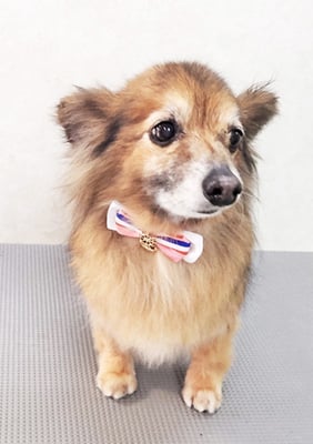 田島ベリちゃん