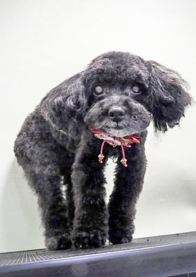 中井ヒナちゃん