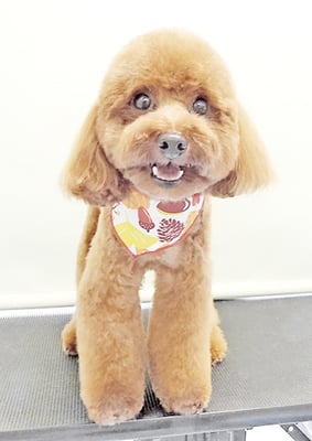 大山弦之介ちゃん