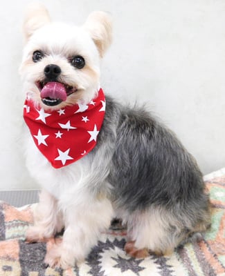 岡元ベリーちゃん