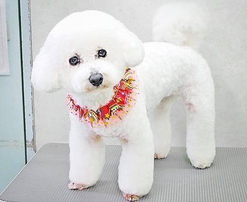 内田おもちちゃん