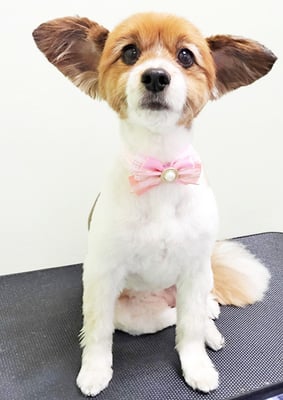 玉利ゆずちゃん