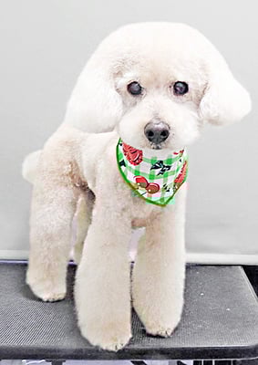 濱村小太郎ちゃん