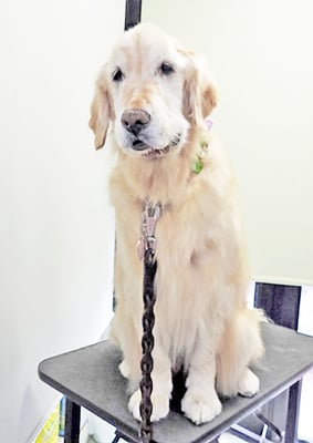 美代ジューンちゃん