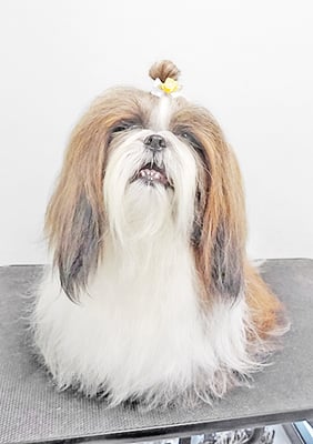 眞邉モモちゃん