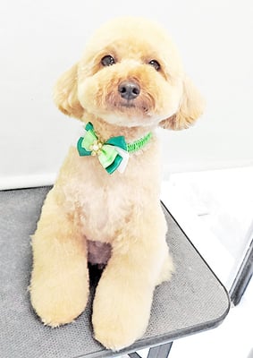 有村コタロウちゃん