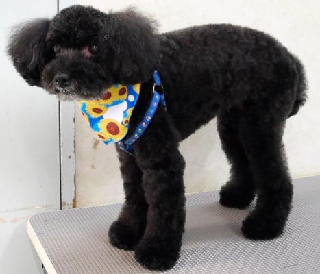 中井ヒナちゃん