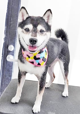 岩﨑レイちゃん