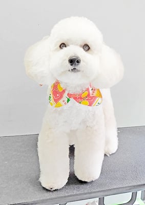 長谷ラナちゃん