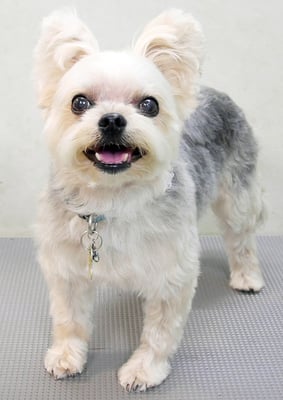 岡元ベリーちゃん