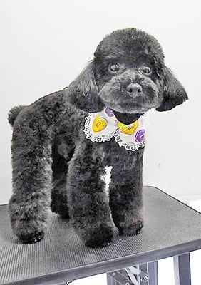 野口サニーちゃん