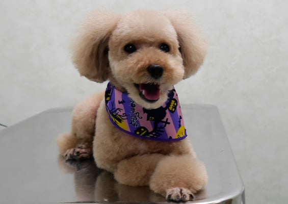 肥田クゥちゃん