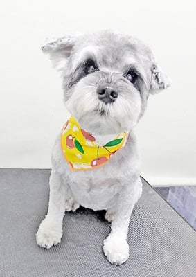 新田つむぎちゃん