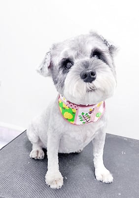 新田つむぎちゃん