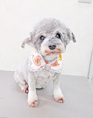 新田つむぎちゃん