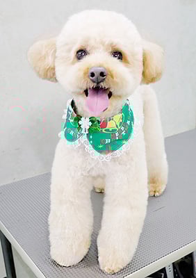 藤久保くうたちゃん