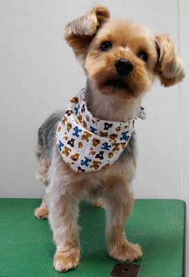 平松武蔵ちゃん