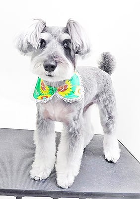 糸山そらちゃん