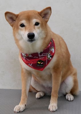 有馬コナツちゃん