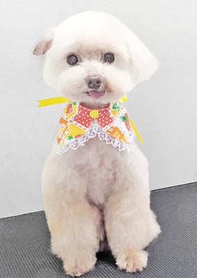 田淵コマロちゃん