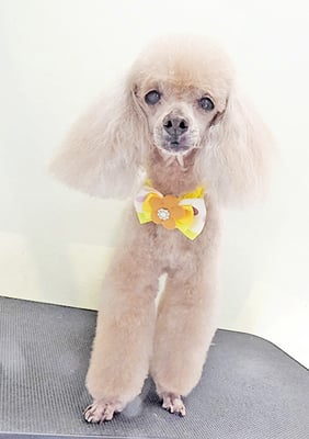 平松クーちゃん